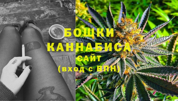 2c-b Корсаков